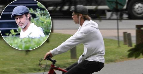 //brad pitt uk gaining custody pp