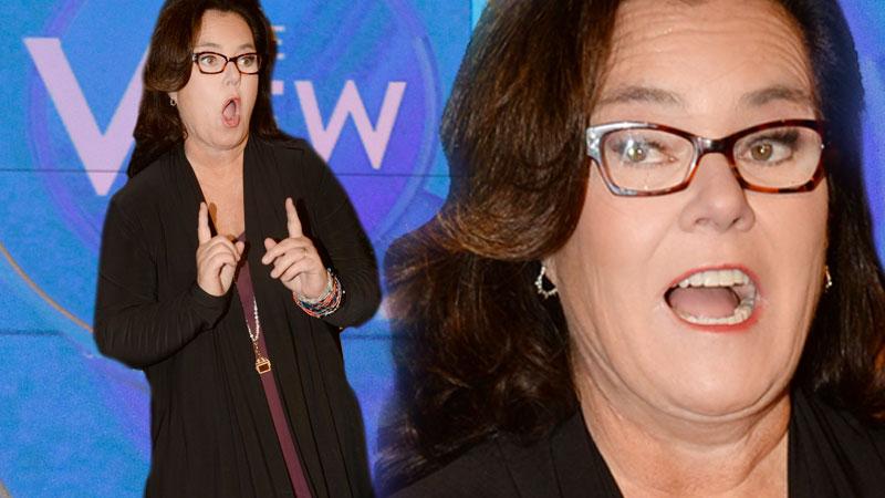 Rosie O'Donnell Sued By Ex Producer The View
