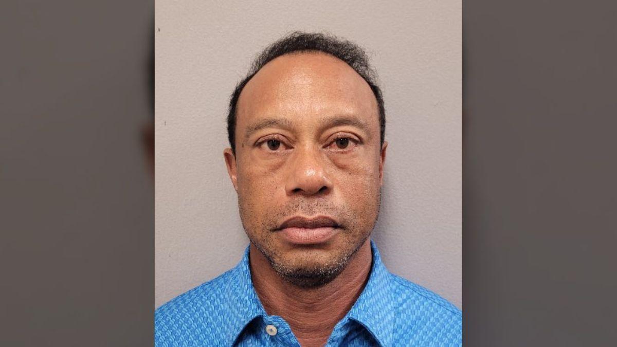 mugshot of Tiger Woods