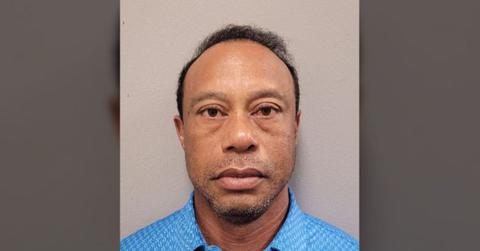 mugshot of Tiger Woods