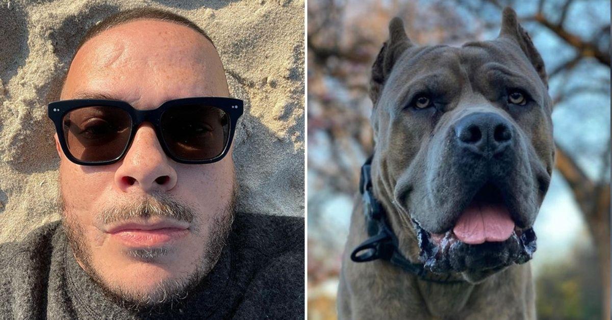 Shaun King Defends Spending 40k Of Donor Money On Guard Dog
