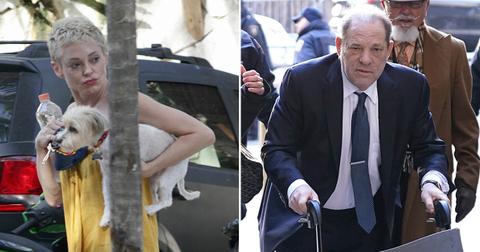 rose mcgowan barefoot moved mexico photos harvey weinstein la jail
