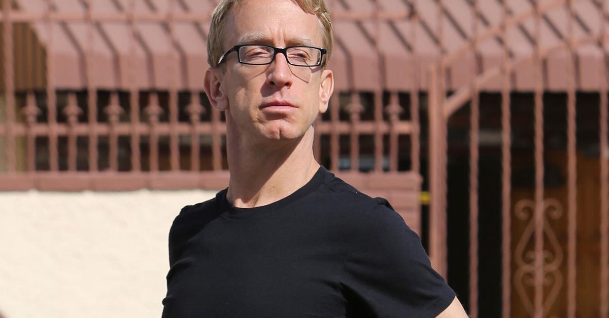 Andy Dick s Wife Lina Sved Granted 5 Year Restraining Order Against Him