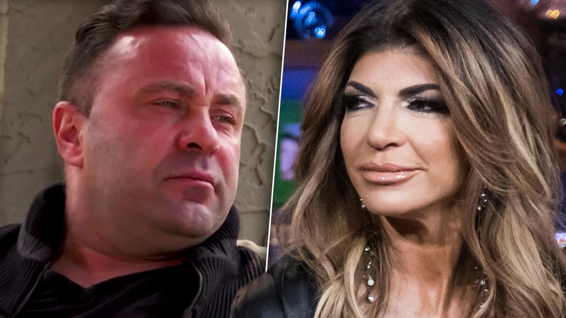 Teresa Giudice Waits To File Divorce From Joe Giudice After Deportation