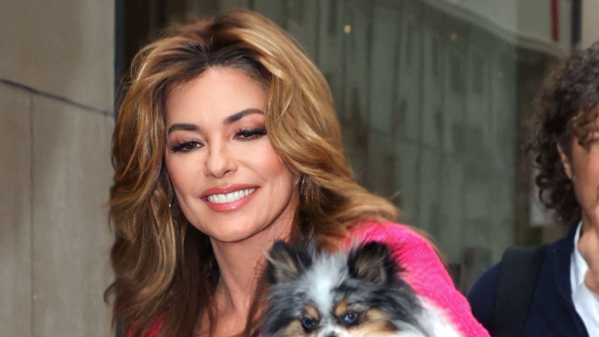 A photo of Shania Twain