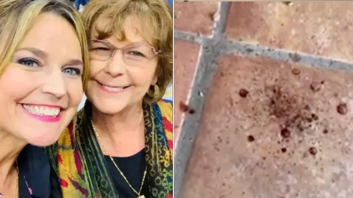 Photo of Savannah Guthrie and mom Nancy