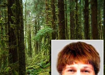 //forest boy ray getty