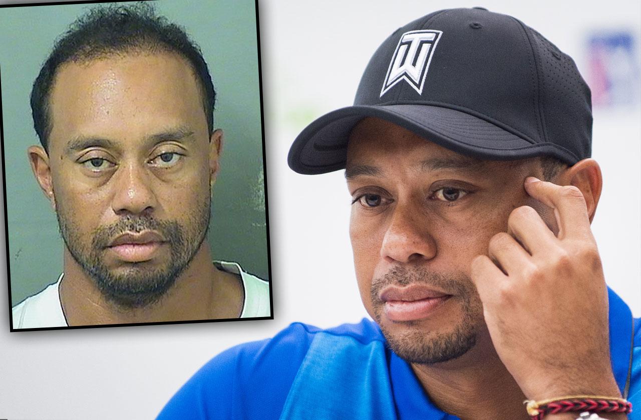 Tiger Woods DUI Arrest Asleep WheelTiger Woods DUI Arrest Asleep Wheel