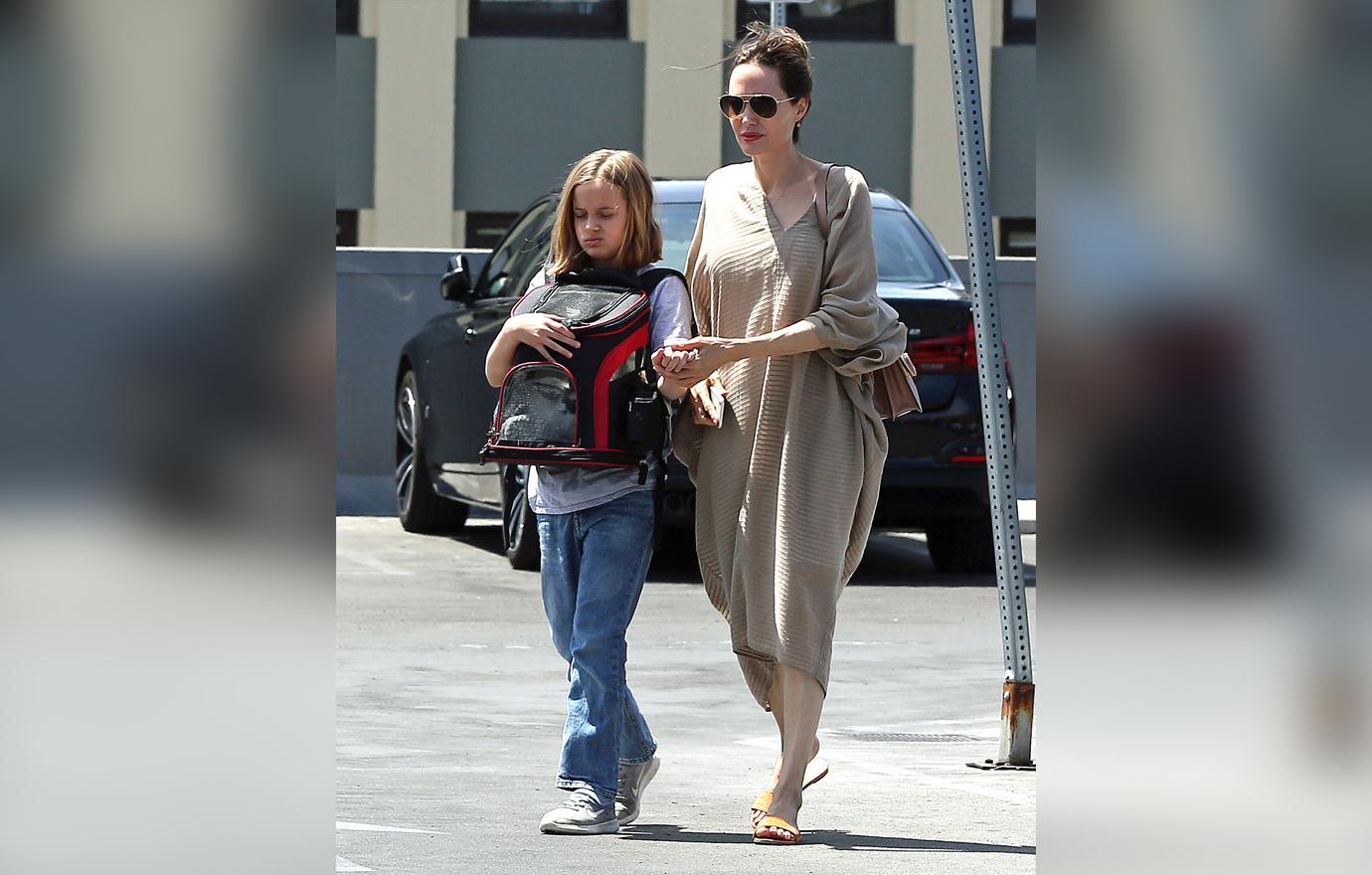 Angelina Jolie takes her daughter Vivienne and their bunny to a pet store for toys and treats. Angelina, joined by her daughter and a bodyguard, spent about 20 minutes at a local Petco shopping for things for their bunny.