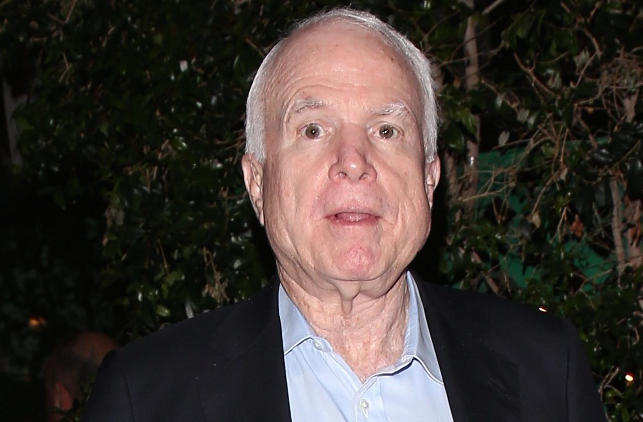 //john mccain near death tell all book pp