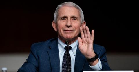 rand paul anthony fauci arrest prison lying congress covid