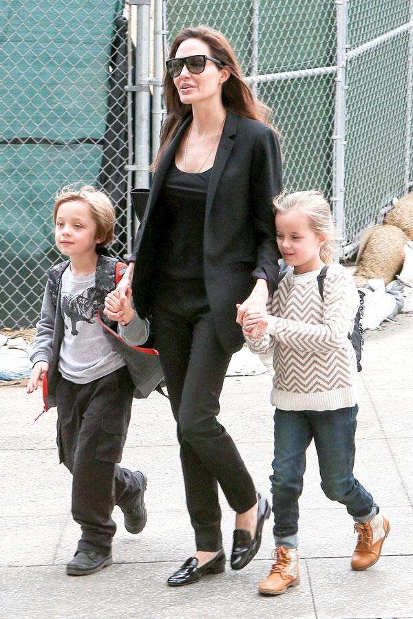 Angelina Jolie Cancer Battle Secret Ovaries Removed