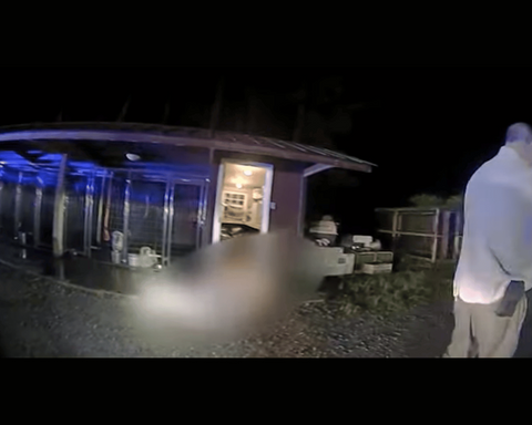 REVEALED: Every Gruesome Crime Scene Photo In The Murdaugh Murders