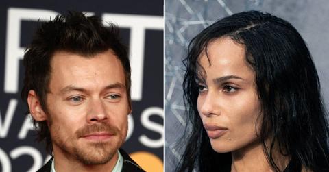 picture of pictureHarry Styles and Zoë Kravitz