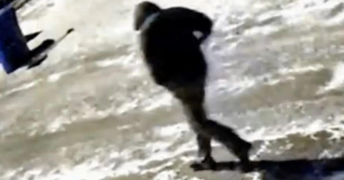 video of person of interest