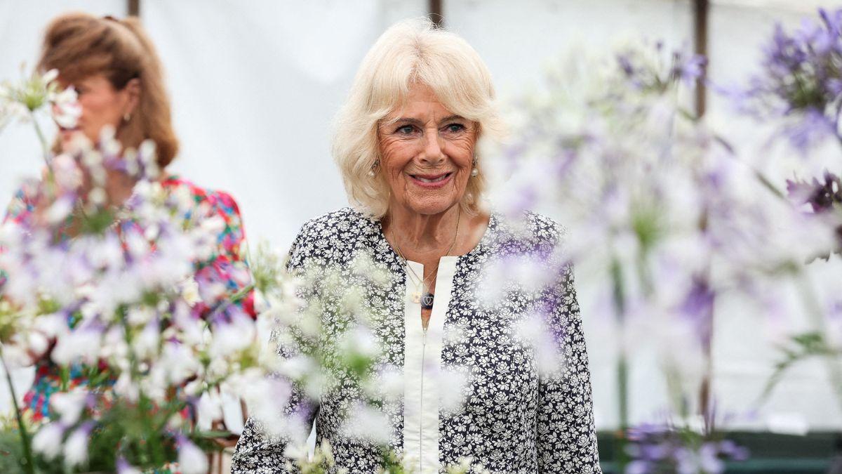Photo of Queen Camilla