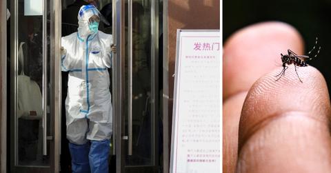 Photo of hazmat suit, mosquito