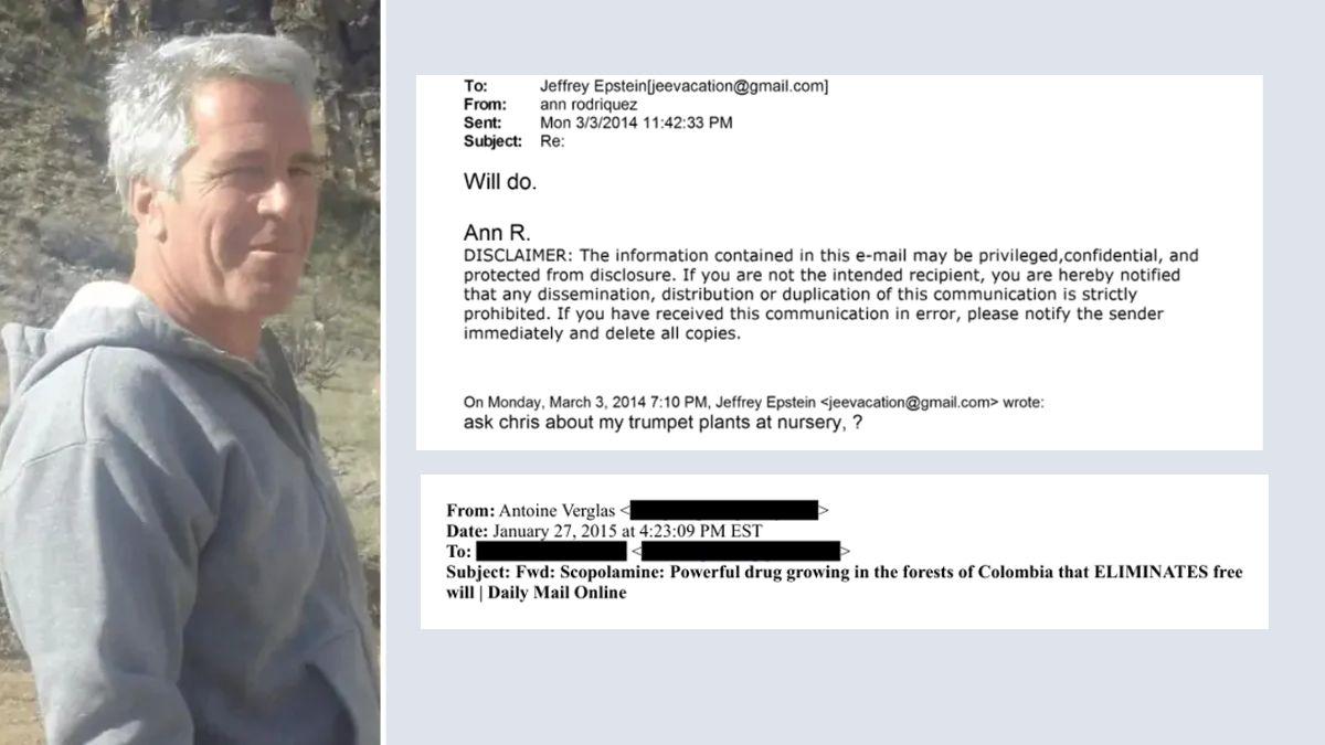 Photo of Jeffrey Epstein and emails about angel's trumpet