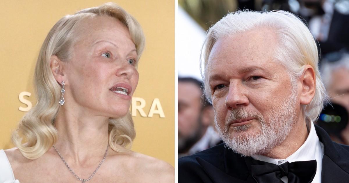 julian assange pamela anderson sex tape fears  pp