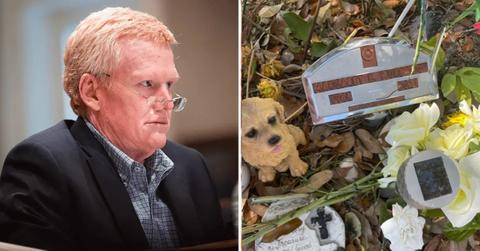 alex murdaugh grave pp