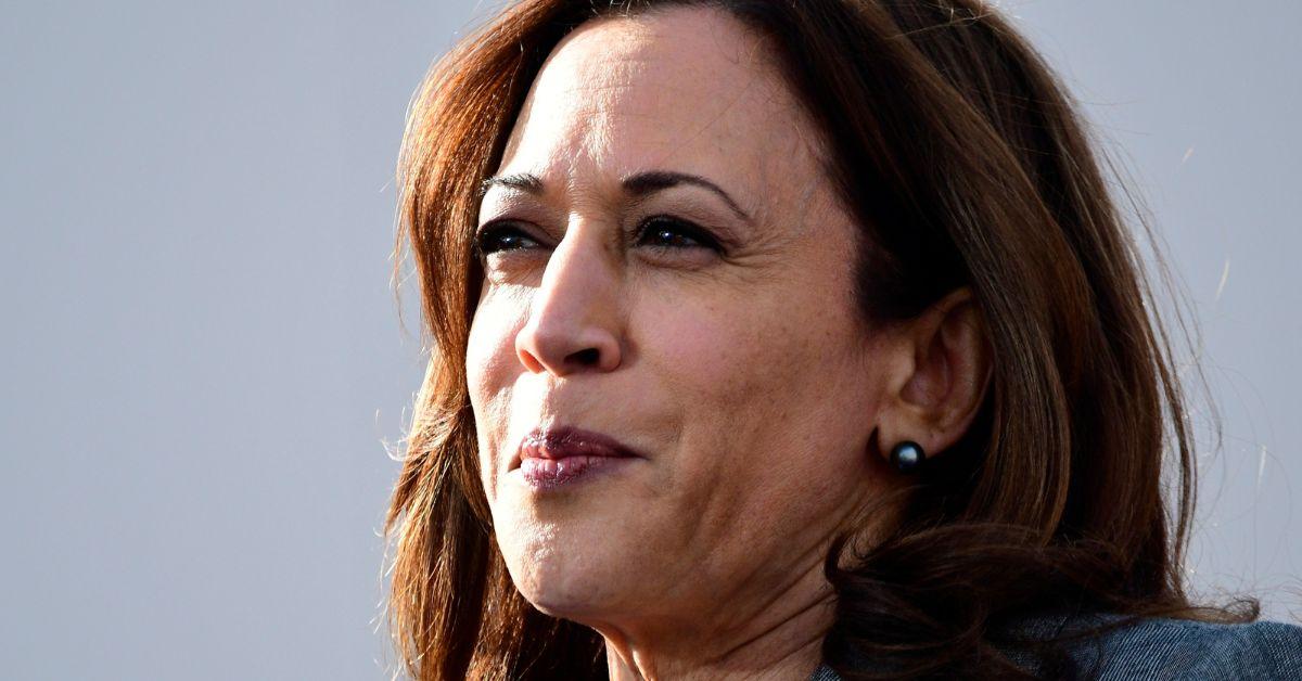 Kamala Harris Criticized For Watching Protests Unfold From Air Force 2