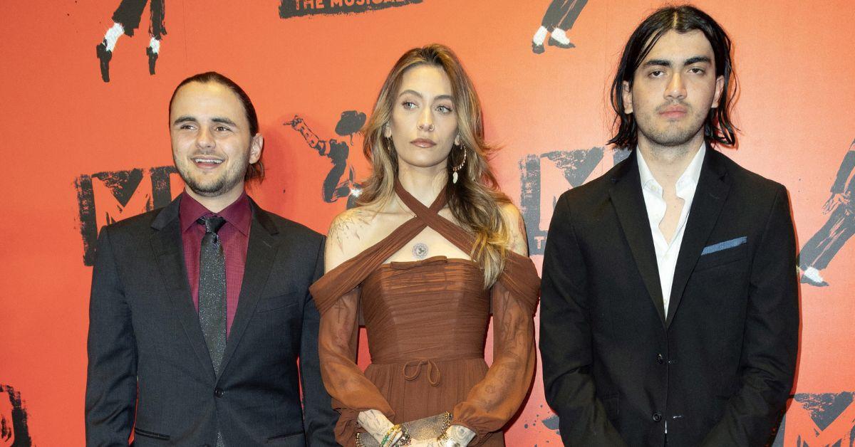 Paris' brothers Prince and Bigi Jackson once accused relatives of trying to seize control of their father's $2B estate.