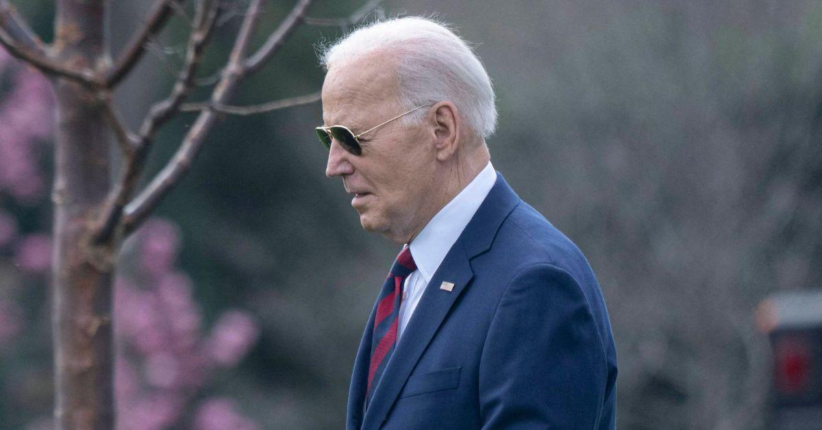 joe biden poll  percent black voters do not want vote  election