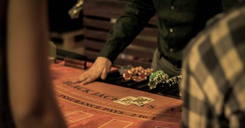 resultdusan kipic qtd arqtmuc unsplash