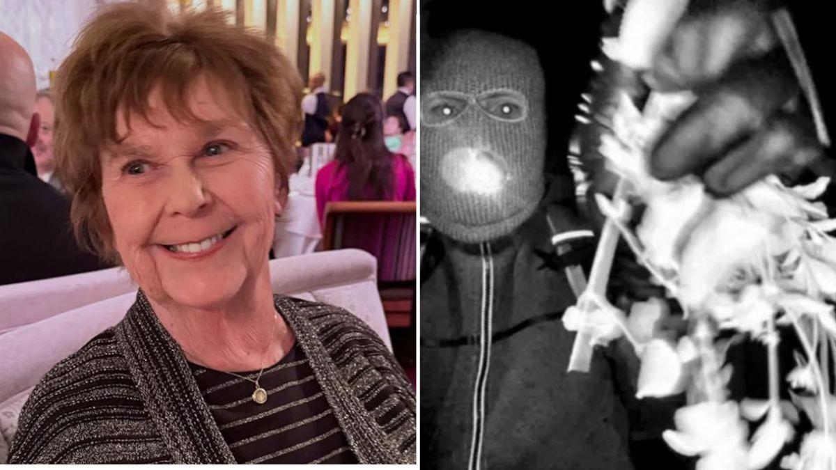 split image of Nancy Guthrie and alleged kidnapper