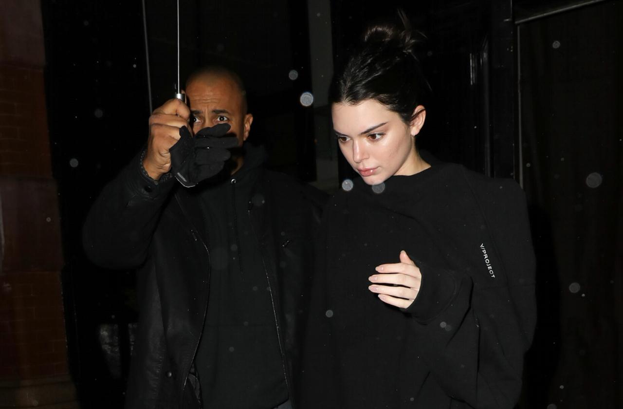 //kendall jenner’s dog reportedly bites girl pp