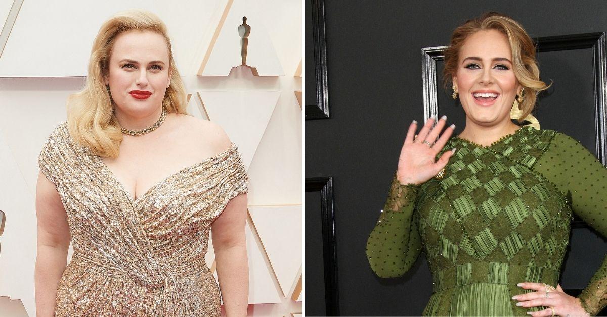 Rebel Wilson Thinks Adele Hates Her Because Of Size Comparisons 6831