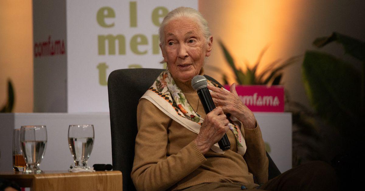 Photo of Jane Goodall