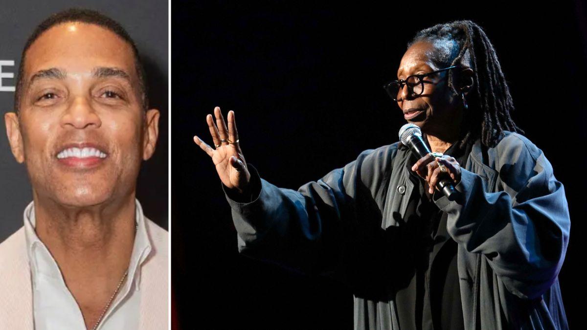 During a chat with Don Lemon, Goldberg said 'hit and runs are great' when discussing her approach to casual relationships.