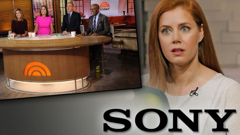 Amy Adams Freaks Out At The ‘today Show Over Sony Hacking Scandal