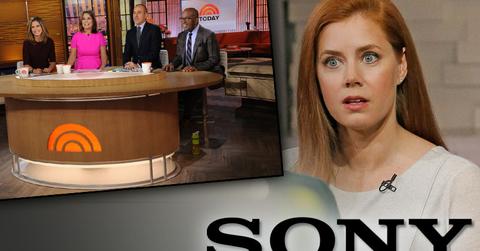 //amy adams today show freakout