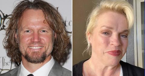 sister wives kody brown begs for reconciliation with janelle pp