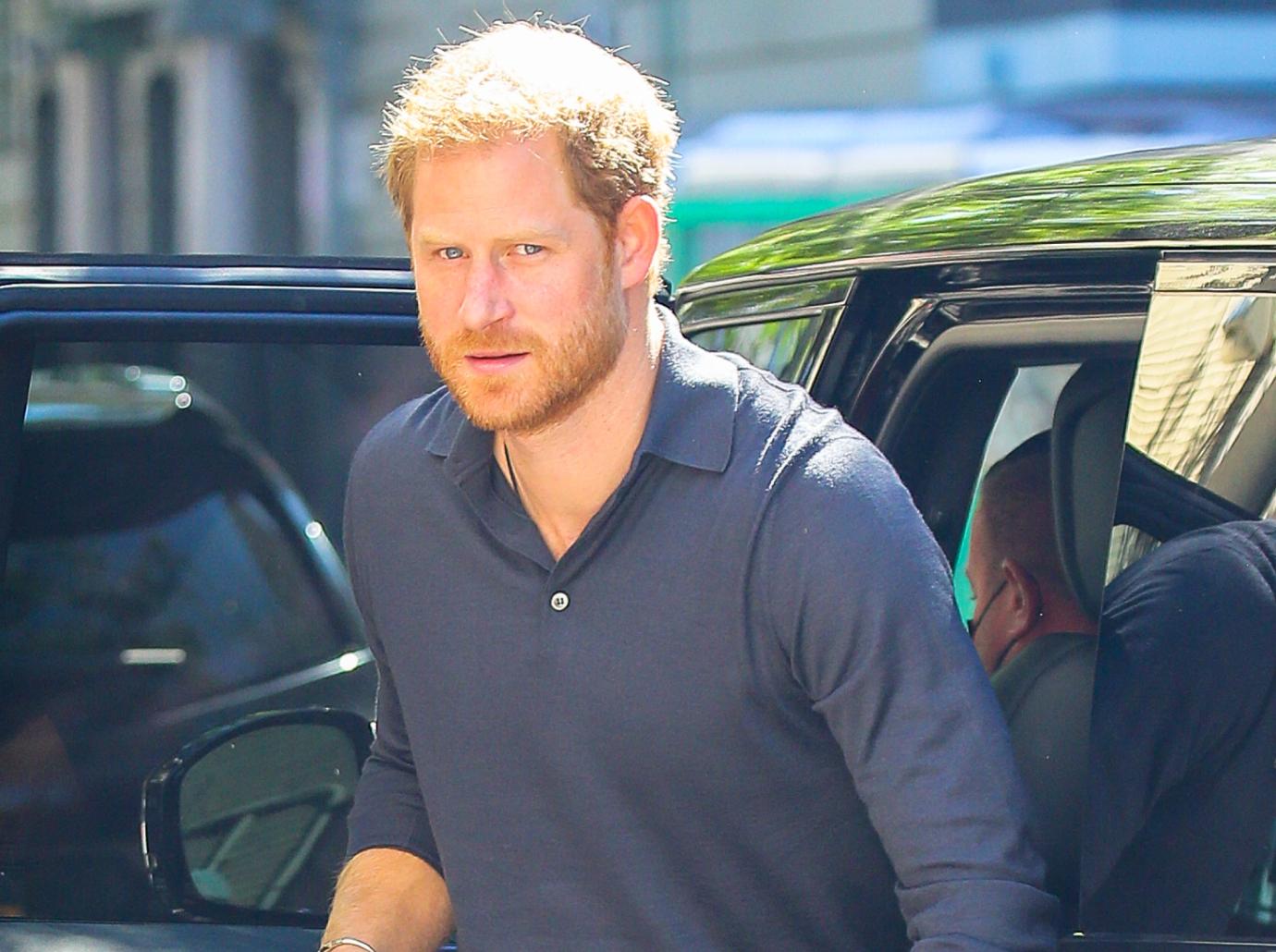 prince harry gallery pic