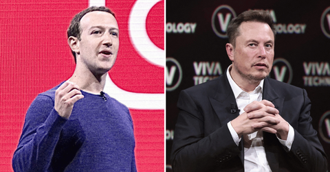elon musk ufc fight mark zuckerberg