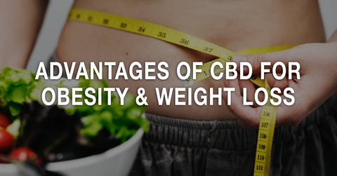Advantages Of CBD Oil On Weight Loss And Obesity