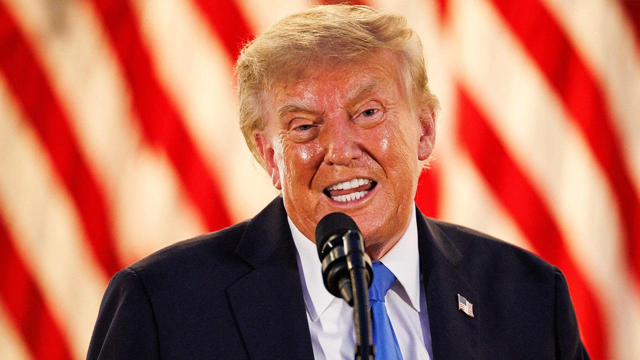 Bandy Lee claimed the stress of the midterm elections could push Trump over the edge. 