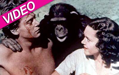 //cheetah chimp dies wenn post