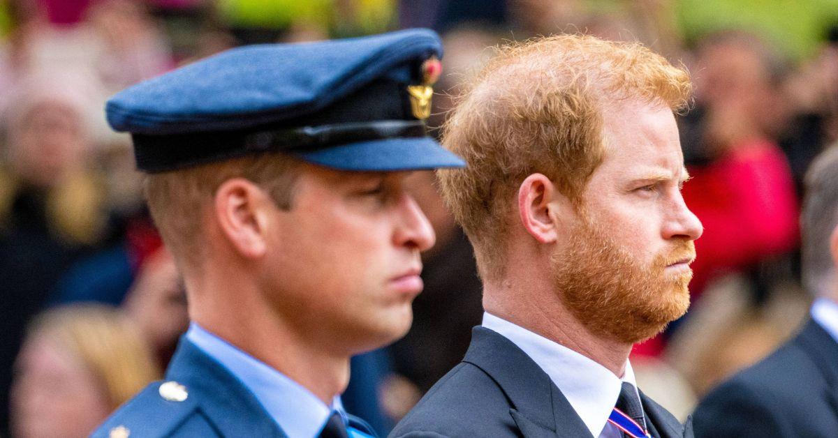 Prince William and Harry's Cousin Found Dead 'With Gun Next To Her'