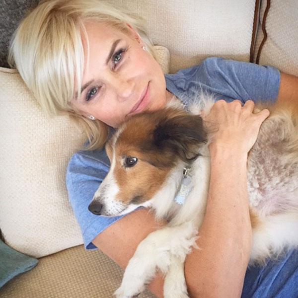 //yolanda foster lyme disease treatment update