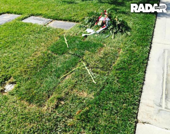 Dick Van Patten Unmarked Grave Photos