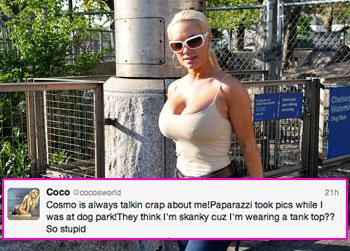 //coco twitter dog park cosmo