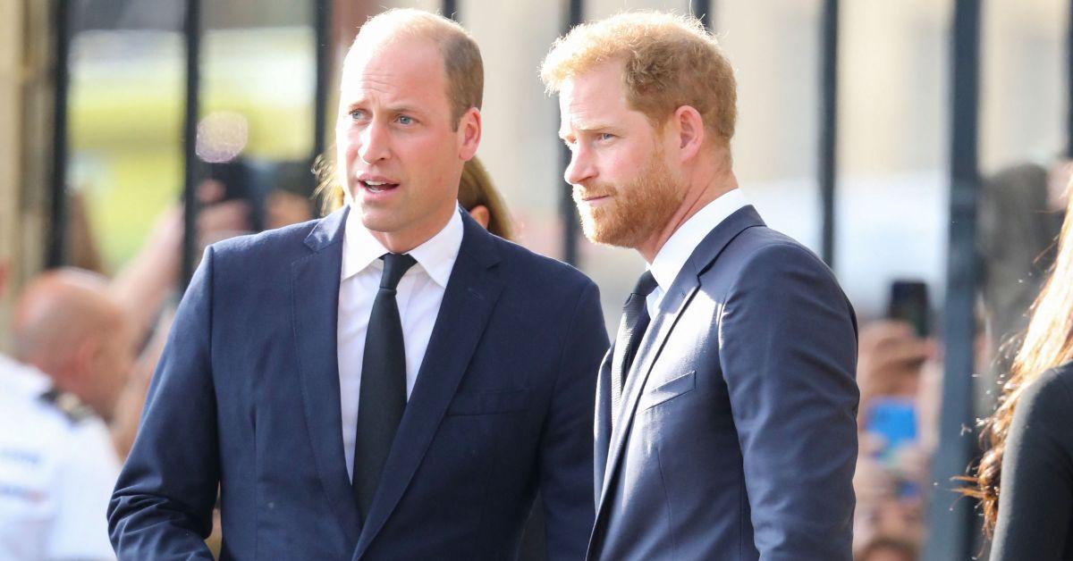 Photo of Prince William and Prince Harry