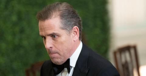 hunter biden pp