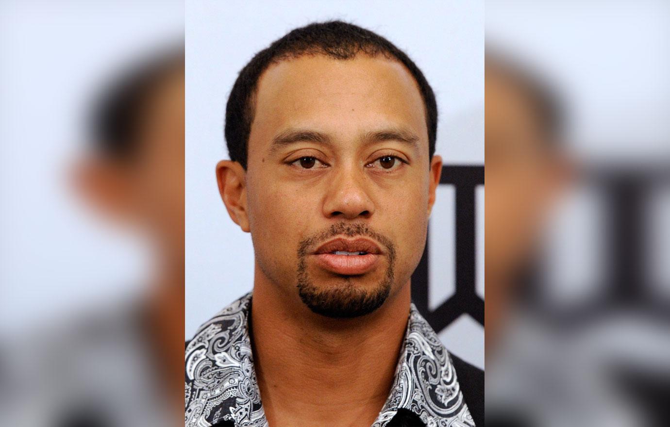 Tiger Woods DUI Downward Spiral Pics