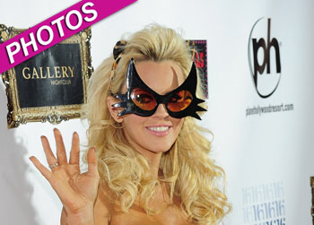 //jenny mccarthy lingerie halloween