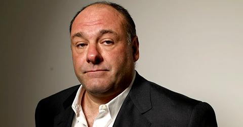 //james gandolfini wide getty